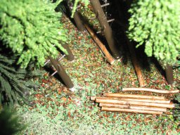 Schlösschen mit Wald - 2007